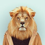 Ariel Baum's photo
