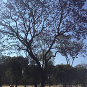 Anayeli's photo