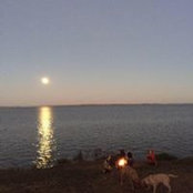 Kevin Filler's photo