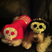 Becky Revell's photo