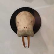 Leigh Mackow's photo