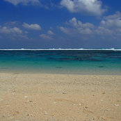 mieuxchamis foto