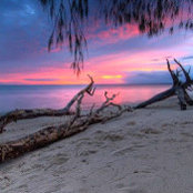 Brandon Hardy's photo