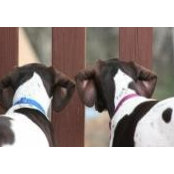 Jess Farris's photo