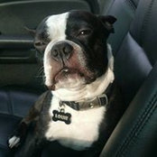 Hector Torres's photo