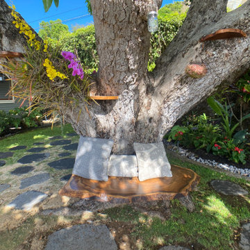 100 Year Old Tree Bench