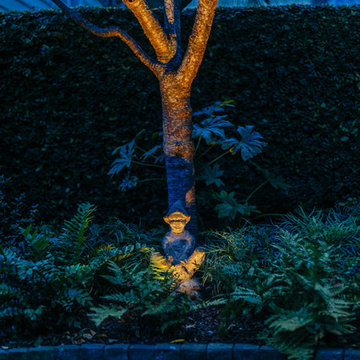 Tradd Street Garden