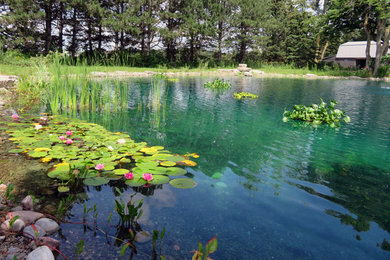 This is an example of a pond in Toronto.