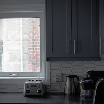 Kitchen Remodel - Project Druid