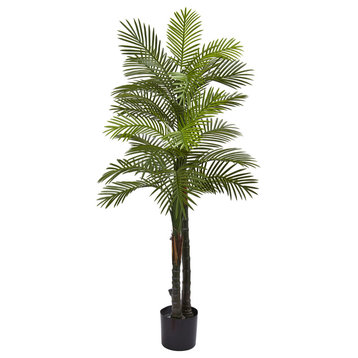 5.5' Double Robellini Palm Tree UV Resistant, Indoor/Outdoor