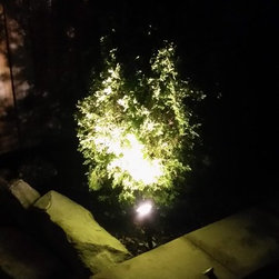 A Landscape Lighting Creation in LED !! - Products