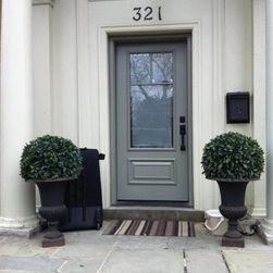 Smooth Skin Collection - Front Doors