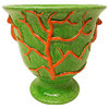 Tuscan ND Dolfi Large Footed Cachepot Planter