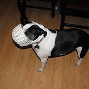 Jean Hurt's photo
