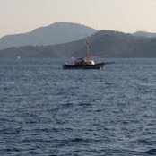 Canan Yazgan's photo