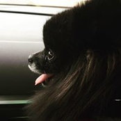 Monica Bitar's photo