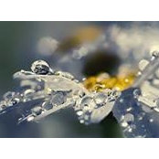 Caroline Hadash's photo