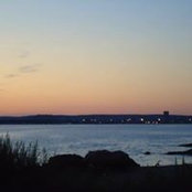 Ida Sansone's photo