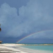 Linda Tisdale's photo