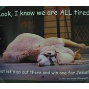 Jezebel Camel's photo