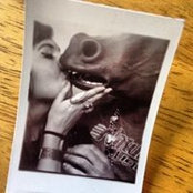 Audrey Davisさんの写真