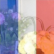 Damien Chevé's photo