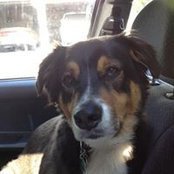 Bee Stein's photo