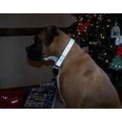 Katherine DeMent's photo