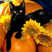 Catherine Kaetterhenry's photo