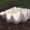 Kenroy Giant Clam Shell Home X-26006
