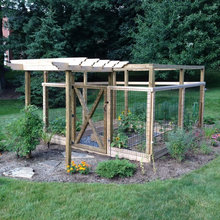 Fredonia 2023 Garden Ideas