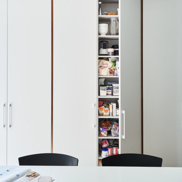 Rosedale Modern Whole Home Renovation