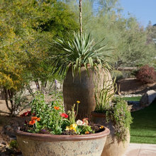 Container Plant Design