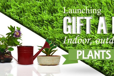 Gift A Plant - HarithTharang