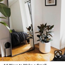 Chambre master