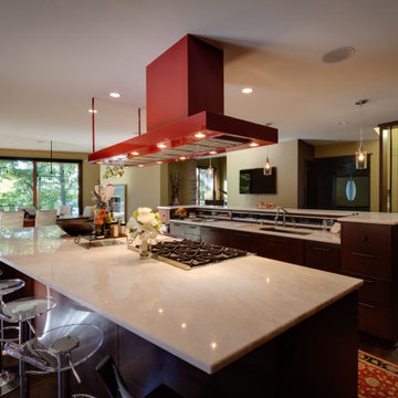 North Lake - Chenequa, WI - Modern Home Kitchen with Lake View and Green Roof