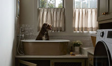 Housekeeping