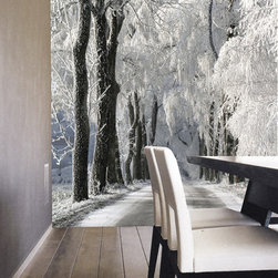 Residential Murals - Wallpaper