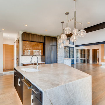 Raphael - Contemporary Custom Home