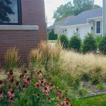 Two years after planting