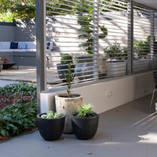 back and front yard