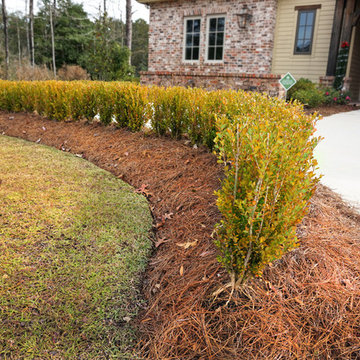 Winter Yard