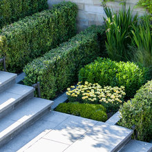 steps and pathes