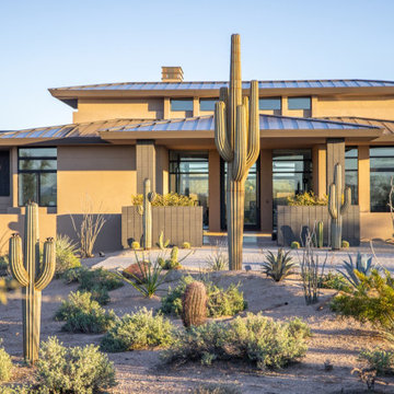 Saguaro