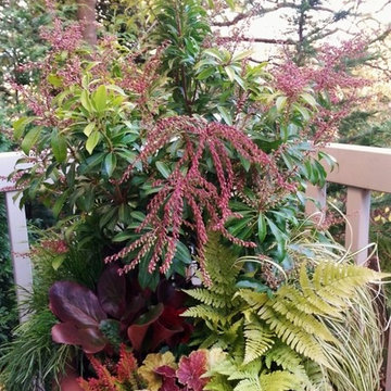 Container Gardens