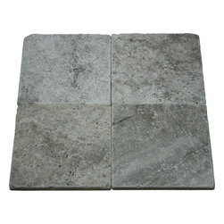 Elegant Silver 6" x 6" Travertine Tile - Products