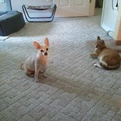 Dianne Parnell's photo