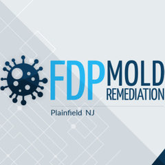 FDP Mold Remediation of Plainfield