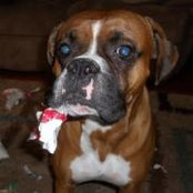 Jamie Yocum's photo