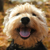 Sabra Johnson's photo